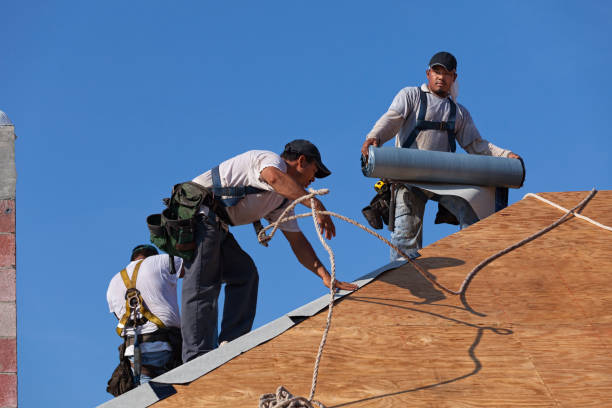 Best Commercial Roofing Services  in Fox Chase, PA